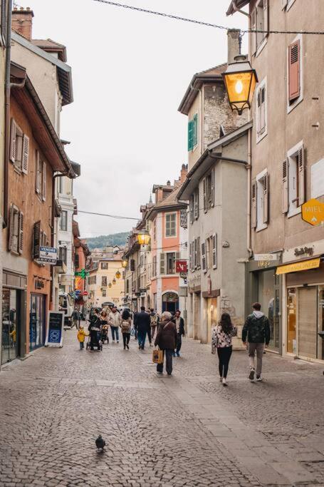 Ferienwohnung La Vie En Rose - Luxe, Calme & Hypercentre - 3* Annecy Exterior foto